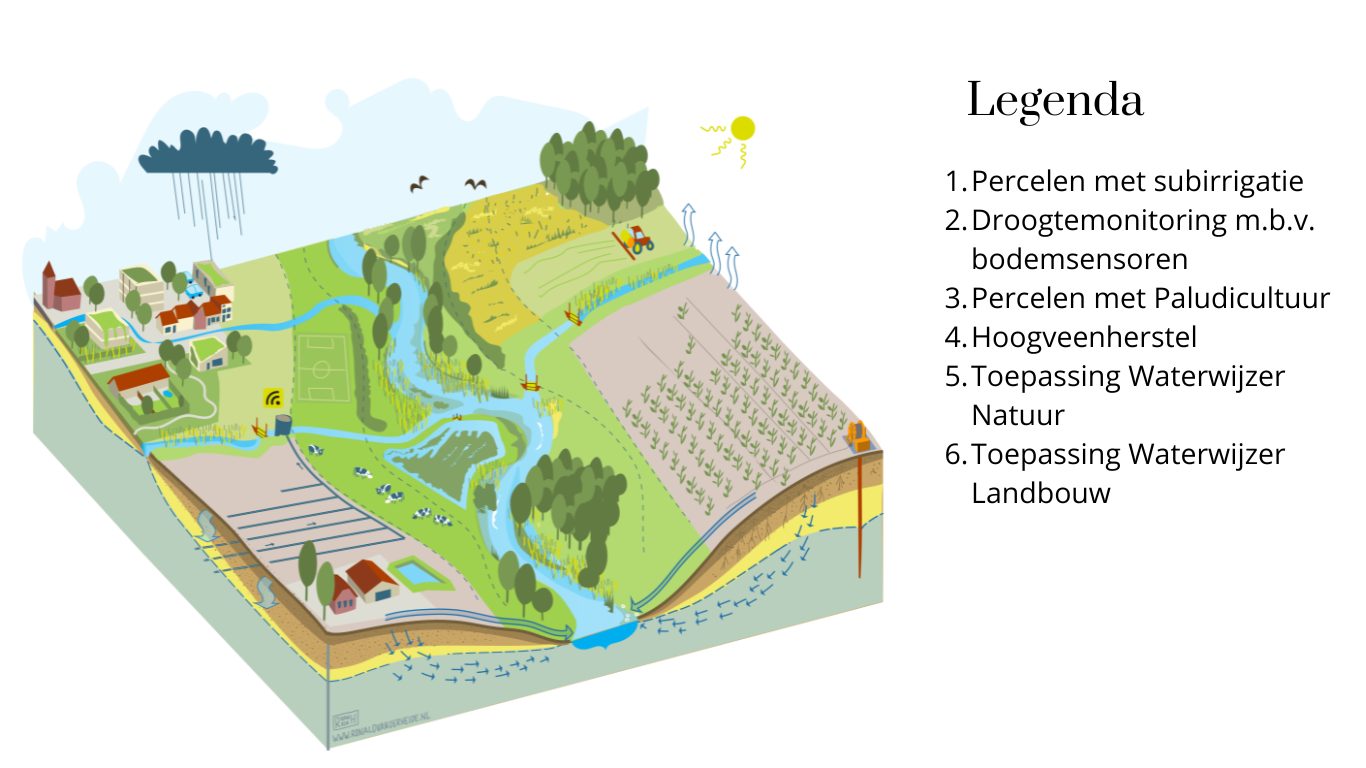 Infographic