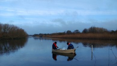 Using microbes for better water quality