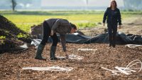 Natuurinclusieve zoetwaterbeschikbaarheid