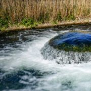 Zoetwaterbeschikbaarheid