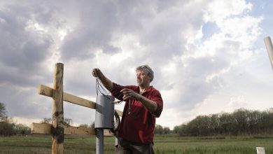 Herstel ecosystemen en biodiversiteit