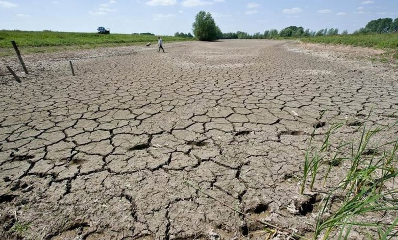 droogte_door_klimaatverandering